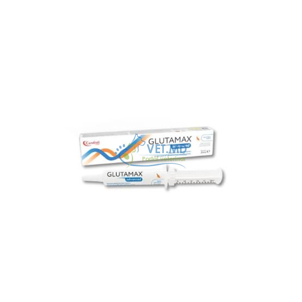 GLUTAMAX Advanced, паста — гепатопротекторная добавка для собак, 30 мл